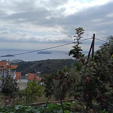 Apartman Alexandra's