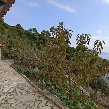 Alexandra's Kechria