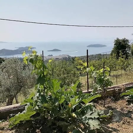 Alexandra's 아파트 Kechria