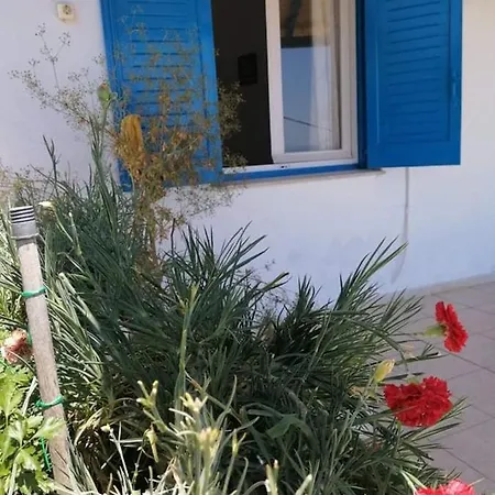 아파트 Alexandra's