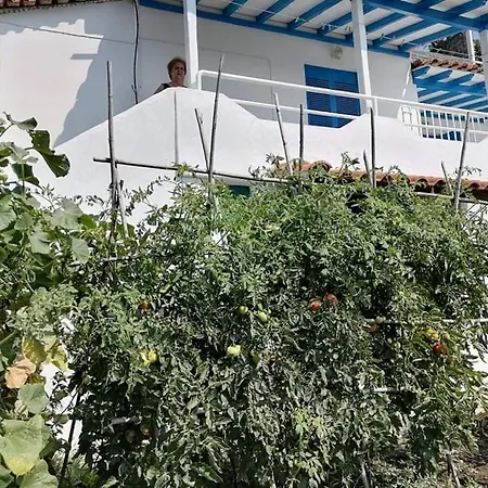 Appartamento Alexandra's *