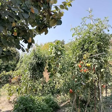 Alexandra's 아파트 *