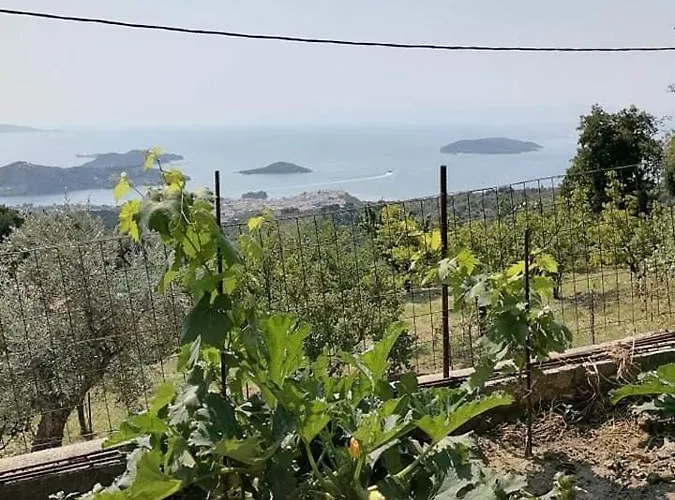 Alexandra's Appartamento Kechria