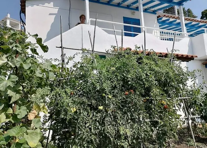 Appartamento Alexandra's *