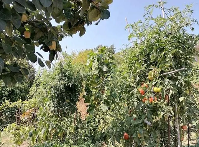 Alexandra's Appartamento *